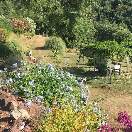 Apartamento Cinque Terre, Tuscany, Liguria, Lerici, #3 Lerici
